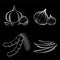 Digital vector detailed line art Chili, garlic, shallot, tamarind on black background