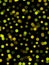 Digital vivid yellow polka dots on black