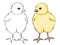 Digital watercolor chick and line silhouette hand drawn illustration set. Small yellow newborn baby chicken. Tiny fluffy