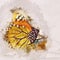 Digital Watercolor Of A Monarch Butterfly