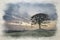 Digital watercolor painting of a lone tree on Grindon Moor, Staffordshire