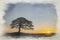 Digital watercolor painting of a lone tree on Grindon Moor, Staffordshire