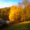 Digital watercolour of autumnal colours at Deep Hayes Country Pa