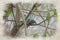 A digital watercolour painting of common Eurasian kingfisher, Alcedo atthis perched by a pond