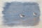 A digital watercolour painting of two Common Sandpipers wading in the sea