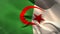 Digitally generated algeria flag waving