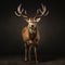 Dignified Red Deer: Captivating Studio Shot On Isolated Background