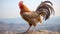 Dignified Rooster Ultra Realistic Photo With Bold Colorism