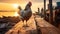 Dignified Rooster On Wooden Dock At Sunset