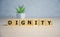 DIGNITY word made with building blocks. business concept.