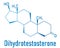 Dihydrotestosterone or DHT, androstanolone, stanolone hormone molecule. Skeletal formula.