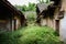 Dilapidated ancient Chinese houses with weedy yard in ruins