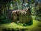 Dilapidated Cabin along Black Ridge Trail