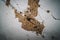 Dilapidated ceiling of an old house. damaged wall with a hole with timber frame. ruined surface abstract background