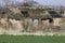 Dilapidated derelict thatched roof barn conversion project