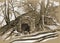 Dilapidated entrance to an old underground basement on a hill with trees.