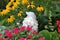 Dilapidated garden gnome in local garden surrounded with garden plants and flowers