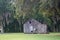 Dilapidated old Louisiana shack