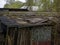 Dilapidated sheds in spring