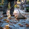 Diligent man with broom tidies cement patio, leaves dancing away