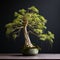 Dill Bonsai: Handcrafted Beauty With Detailed Petals