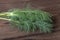 Dill branches heap on the old wooden table