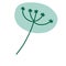 Dill in doodle style. Meadow green plant and spice. Simple natural grass. Cartoon illustration