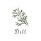 Dill flat vector illustration. Plant herb cartoon logo. Simple bunch of dill icon