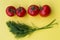 Dill and four tomatoes on yellow background, horizontal