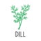 Dill, hand drawn element in doodle style. Logo and emblem packaging design template - spices and herbs - dill sprigs