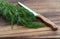 Dill and knife on a cutting board