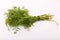 Dill vegetable