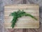 Dill on a wooden surface. Fresh dill on a cutting board. Greens for making salad, soup, sauce, marinade, mayonnaise, fish and meat