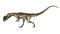 Dilophosaurus dinosaur walking head down - 3D render