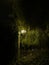 Dim streetlamp at night