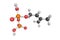 Dimethylallyl pyrophosphate, an intermediate product of both MVA pathway and DOXP/MEP pathway which exists in virtually all life