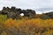 Dimmuborgir area in autumn