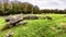 Din lligwy bronze age settlement moelfre anglesey