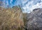 Dinas Rock,popular climbing and tourist attraction,Neath Valley near village of Pontneddfechan, Wales,UK