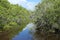 Ding Darling waterways on Sanibel Island, Florida, USA