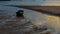 Dinghy sitting in tidal pool at beach at low tide during sunset with anchor trailing behind