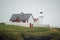 Dingle Lighthouse Ireland