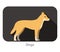 Dingo dog breed flat icon design