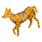 Dingo dog icon isometric vector. Wild animal