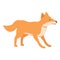 Dingo dog play icon cartoon vector. Wild animal