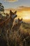 Dingo family standing in front of the camera in the rocky plains with setting sun.