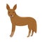 Dingo isolated on a white background. Vector graphics