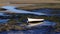 Dingy in Knysna Lagoon at Low Tide