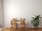 Dining room mockup with white molding wall, dining table, and plant.