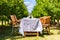 Dining table set outdoors at an orchard with rustic chairs